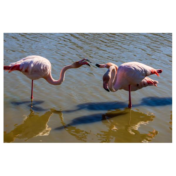 PHOTO84, CLUB, 84 , LUBERON